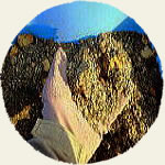 100％有機質・自家製肥料