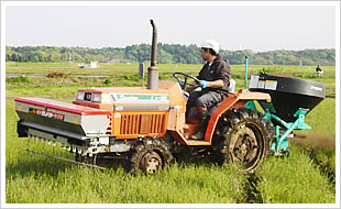 ボカシ・ボカシ散布01