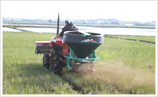 ボカシ・ボカシ散布02