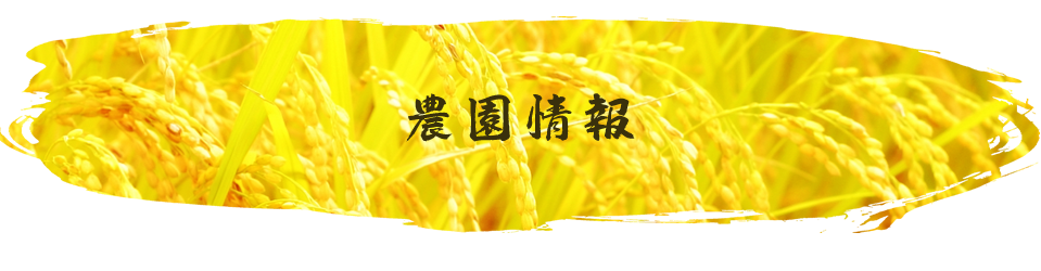 農園情報