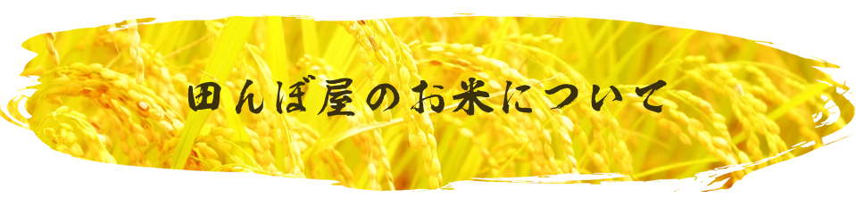 田んぼ屋のお米について