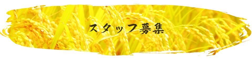 スタッフ募集