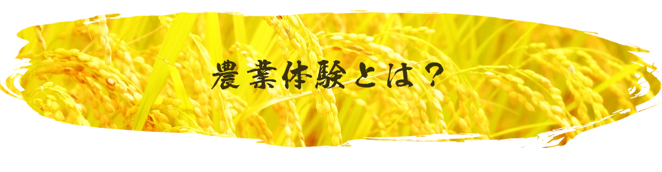 農業体験とは？