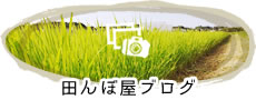 田んぼ屋ブログ
