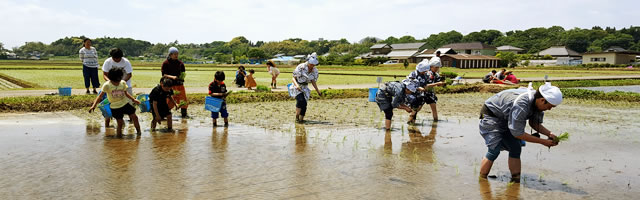農業体験について
